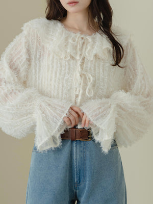Fluffy sheer blouse
